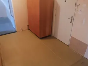 Pronájem bytu 2+1, Plasy, Babinská, 56 m2
