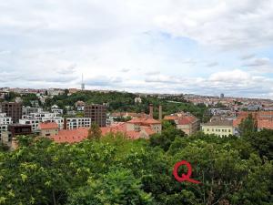 Prodej bytu 1+kk, Praha - Nusle, Boleslavova, 43 m2