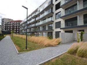 Pronájem bytu 1+kk, Praha - Žižkov, Malešická, 33 m2