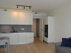 Pronájem bytu 1+kk, Praha - Žižkov, Malešická, 33 m2