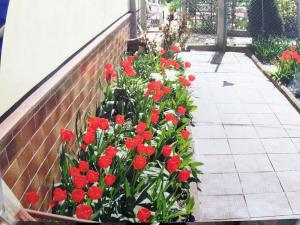 Prodej rodinného domu, Dolní Loučky, 80 m2