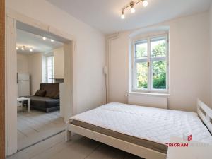 Pronájem bytu 2+kk, Hradec Králové, Dlouhá, 38 m2