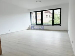 Pronájem bytu 1+kk, Hradec Králové, Pálenecká, 46 m2