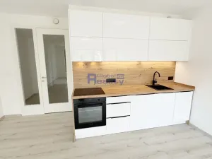 Pronájem bytu 1+kk, Hradec Králové, Pálenecká, 46 m2