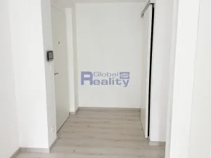 Pronájem bytu 1+kk, Hradec Králové, Pálenecká, 46 m2