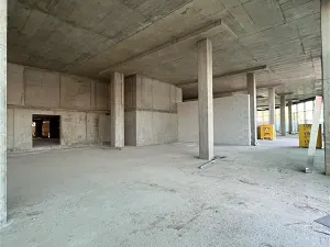 Pronájem obchodního prostoru, Brno, Škrobárenská, 222 m2