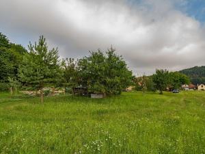 Prodej rodinného domu, Luže, 462 m2