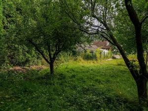 Prodej rodinného domu, Luže, 462 m2