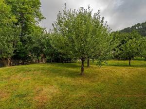 Prodej rodinného domu, Luže, 462 m2