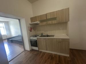 Pronájem bytu 2+kk, Brno, Dornych, 50 m2