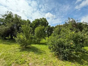 Prodej rodinného domu, Kožušany-Tážaly, 160 m2