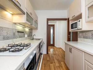 Pronájem bytu 3+1, Meziboří, Husova, 59 m2
