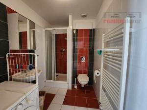 Pronájem bytu 1+kk, Brno, U Leskavy, 33 m2