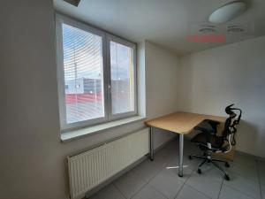 Pronájem bytu 1+kk, Brno, U Leskavy, 33 m2