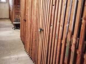 Prodej bytu 3+1, Bělá nad Radbuzou, Za pivovarem, 63 m2
