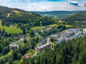 Prodej bytu 1+kk, Jiřetín pod Bukovou, 21 m2