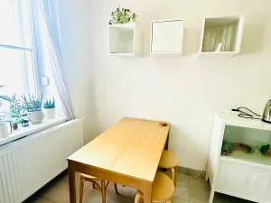 Pronájem bytu 1+1, Praha - Žižkov, Fibichova, 35 m2
