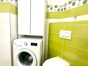 Pronájem bytu 1+1, Praha - Žižkov, Fibichova, 35 m2