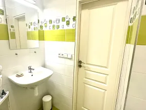 Pronájem bytu 1+1, Praha - Žižkov, Fibichova, 35 m2
