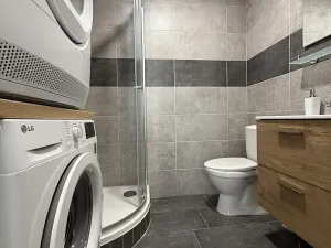 Pronájem bytu 1+1, Chomutov, Školní, 41 m2
