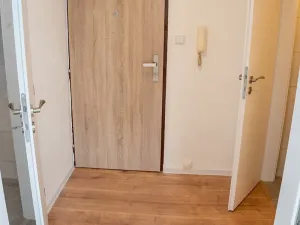Prodej bytu 1+1, Praha - Nusle, U gymnázia, 41 m2