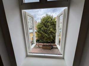 Pronájem bytu 1+kk, Praha - Žižkov, Roháčova, 25 m2