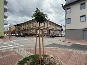 Pronájem bytu 2+kk, České Budějovice, Lipenská, 47 m2