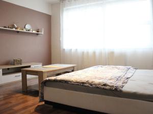 Pronájem bytu 1+kk, Pardubice - Pardubičky, Pod Kopečkem, 41 m2