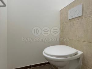 Pronájem bytu 2+1, Mokrá-Horákov - Mokrá, 58 m2