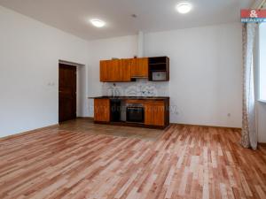 Pronájem bytu 3+kk, Luby, Revoluční, 58 m2