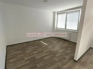 Pronájem bytu 1+kk, Vážany, 29 m2