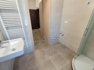 Pronájem bytu 1+1, České Budějovice, Fráni Šrámka, 40 m2