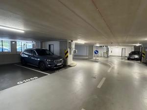 Pronájem bytu 2+kk, Praha - Holešovice, U Pergamenky, 56 m2