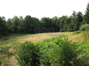 Prodej zahrady, Červený Kostelec - Olešnice, 8220 m2