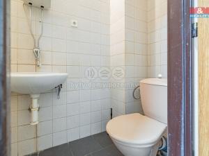 Pronájem obchodního prostoru, Počátky, Horní, 210 m2