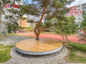 Prodej bytu 3+1, Plzeň, Sokolovská, 67 m2