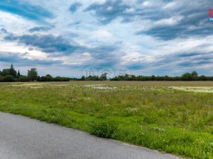 Prodej pozemku pro bydlení, Poděbrady - Velké Zboží, 1003 m2