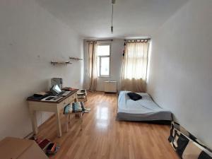 Pronájem bytu 1+1, Praha - Žižkov, Krásova, 30 m2