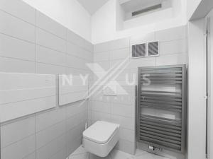 Pronájem atypického bytu, Praha - Vinohrady, Mánesova, 42 m2