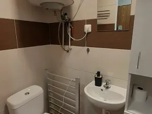 Pronájem bytu 4+1, Jeseník, Žižkova, 86 m2