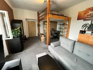 Prodej bytu 1+1, Jihlava, Březinovy sady, 41 m2