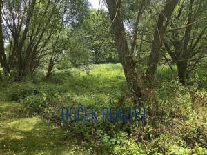 Prodej louky, Sudoměřice u Bechyně, 3561 m2