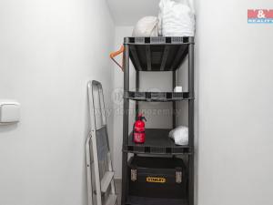 Prodej bytu 2+kk, Praha, Penízovková, 40 m2