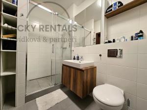Pronájem bytu 2+kk, Praha - Hloubětín, Granitova, 52 m2