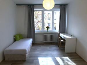Pronájem bytu 3+1, Brno, Polní, 70 m2