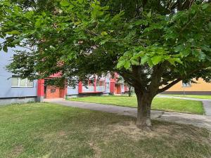 Prodej bytu 1+1, Ostrava, U Haldy, 40 m2