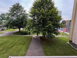 Prodej bytu 1+1, Ostrava, U Haldy, 40 m2