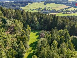 Prodej lesa, Petrovice u Sušice - Maršovice, 15707 m2