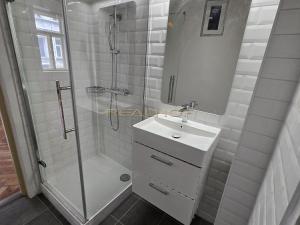 Pronájem bytu 4+1, Brno - Ponava, Skřivanova, 142 m2