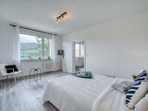 Pronájem bytu 1+1, Děčín - Děčín IX-Bynov, Na Vyhlídce, 34 m2